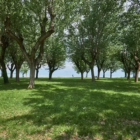 露嘉娜玛莉娜乡村公寓式酒店 4* 西尔米奥奈